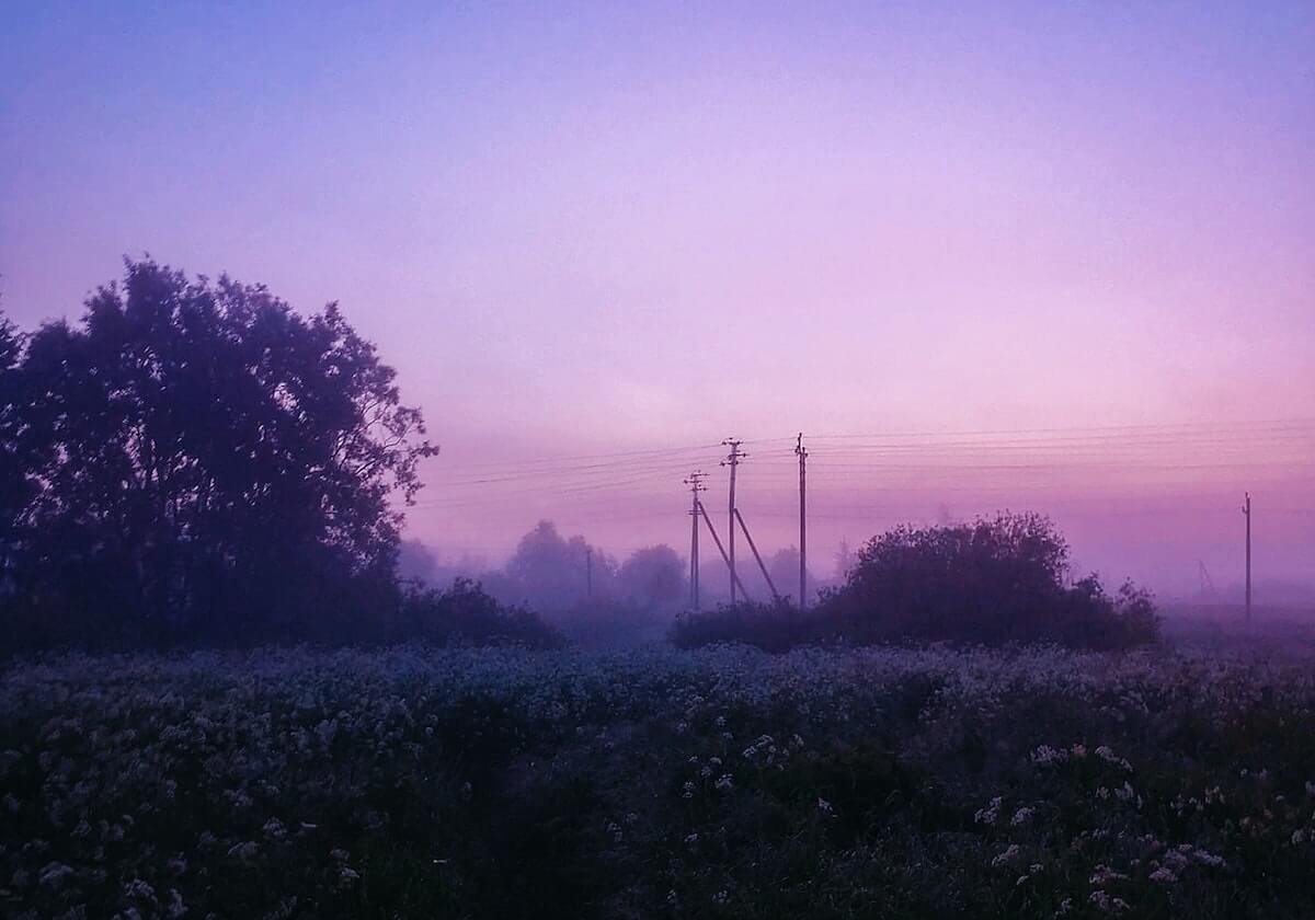 爱游戏在线登录-沪媒：佩雷拉是否续约存疑 上港需尽早确认掌舵者